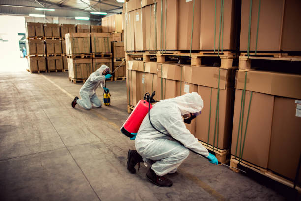 Lago Vista, TX Pest Control Company