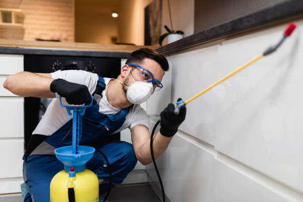 Best Local Pest Control Services  in Lago Vista, TX