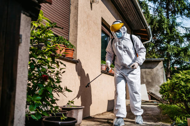 Best Termite Control Services  in Lago Vista, TX