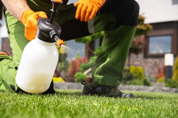 Best Emergency Pest Control  in Lago Vista, TX