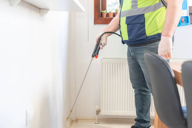 Best Affordable Pest Control Services  in Lago Vista, TX