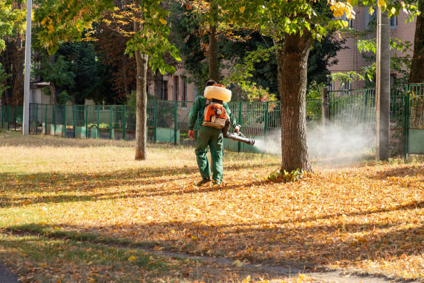Best Emergency Pest Control  in Lago Vista, TX